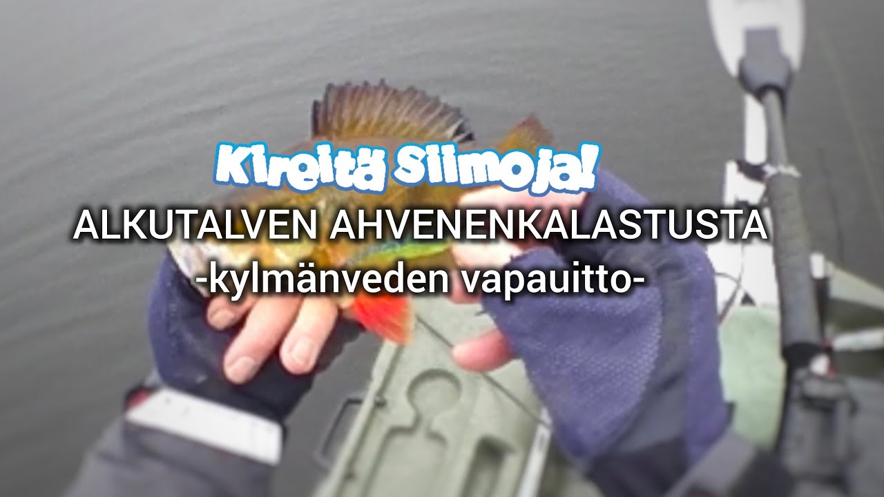 Alkutalven ahvenenkalastus - kylm&auml;n veden vapauitto jigeill&auml;