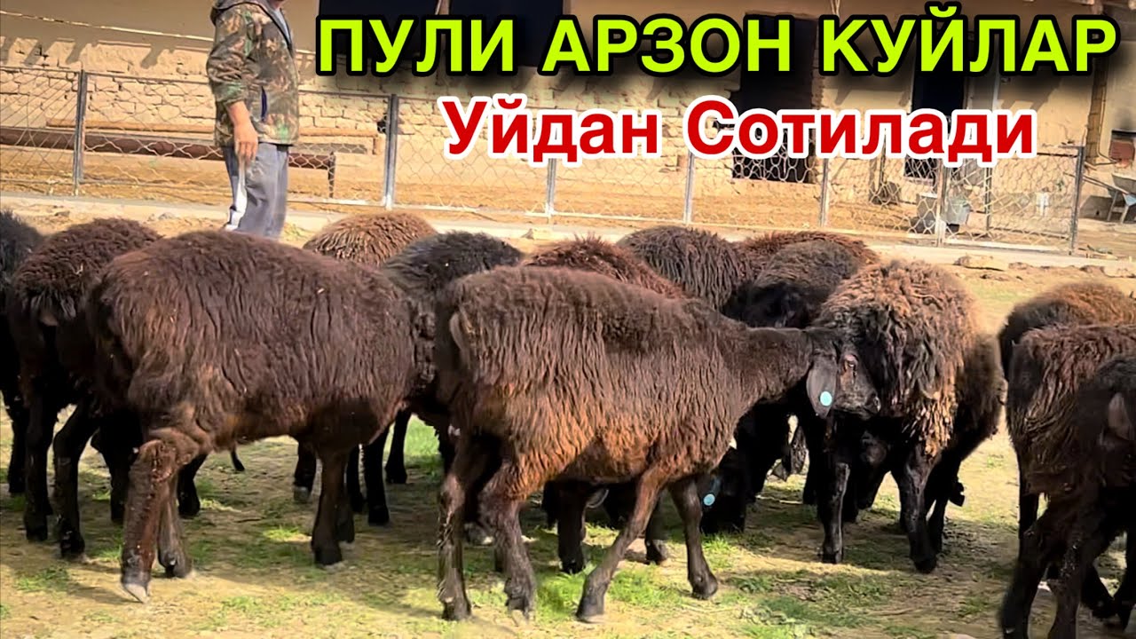 ЕНГ АРЗОН ЖОЙИДАН! ☎️+998 97 222 1197