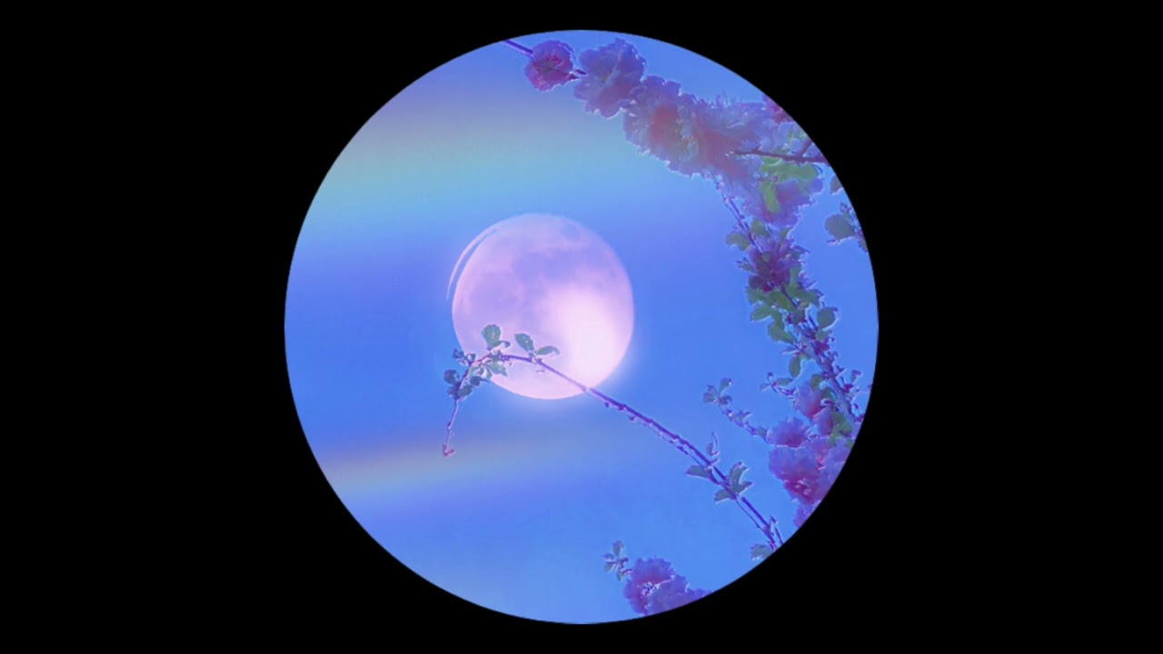 Magic Wave 42 - Feel Alive