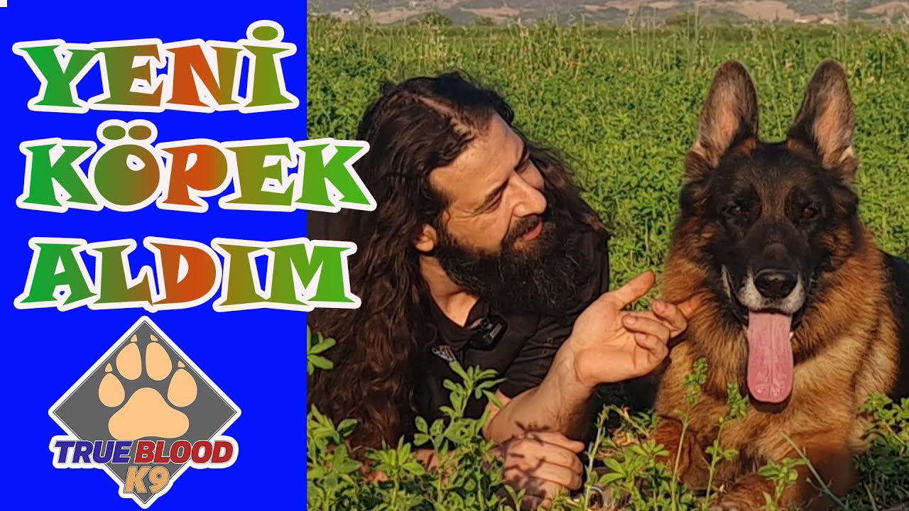 YENİ KÖPEK ALDIM - KÖPEKLE GEZİNTİDE NELER OLDU - YAKIŞIKLI ALMAN ÇOBAN