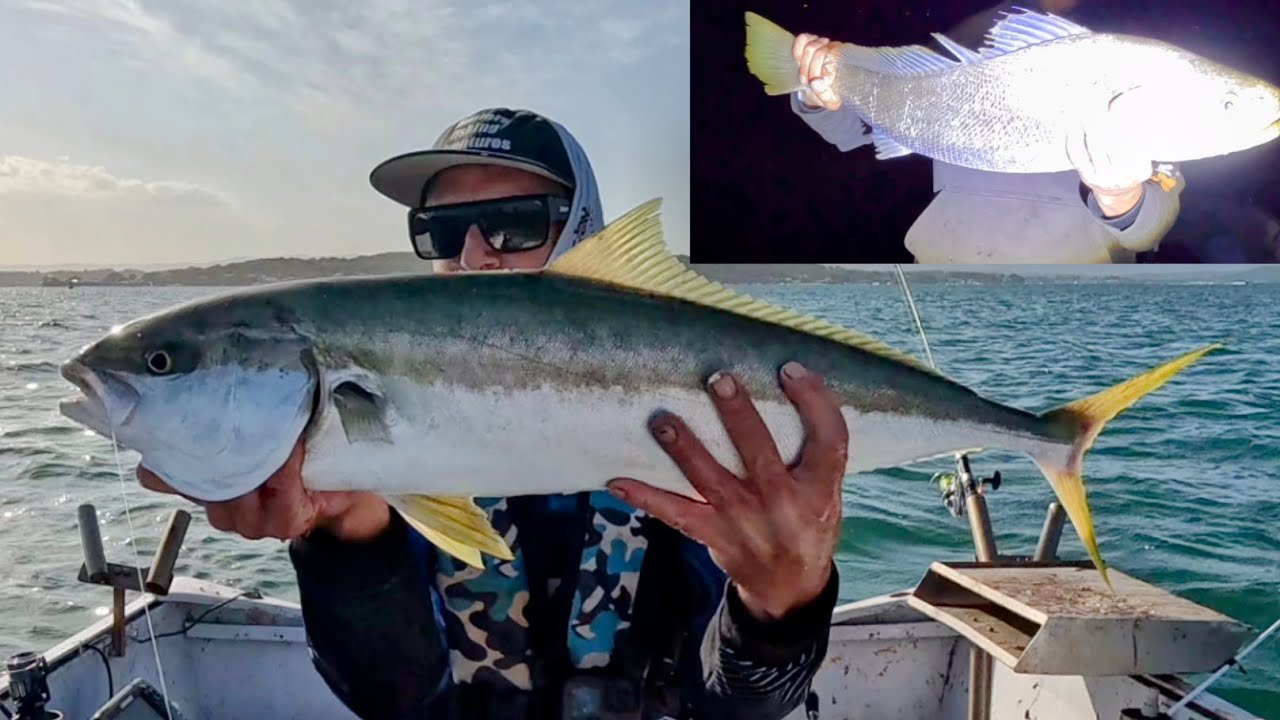 Guide to Mulloway & Kingfish in the estuary  catch & cook