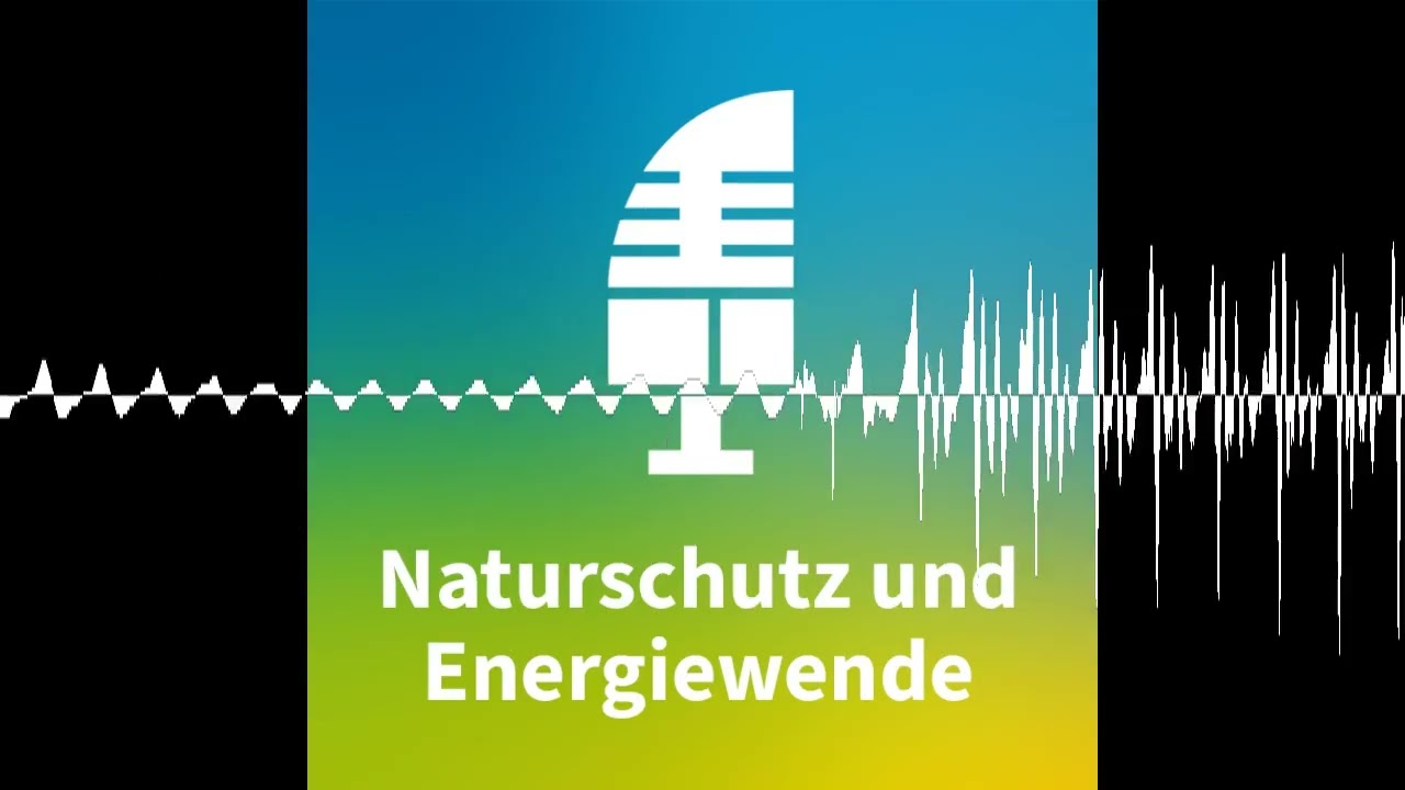 Was passiert international in der Forschung zu Artenschutz und Windenergie?