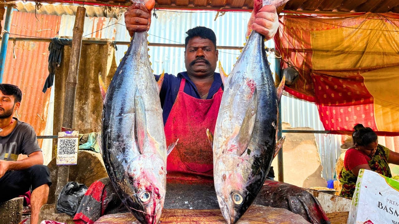 KASIMEDU 🔥 SPEED SELVAM | BIG TUNA FISH CUTTING VIDEO | FF CUTTING 🔪