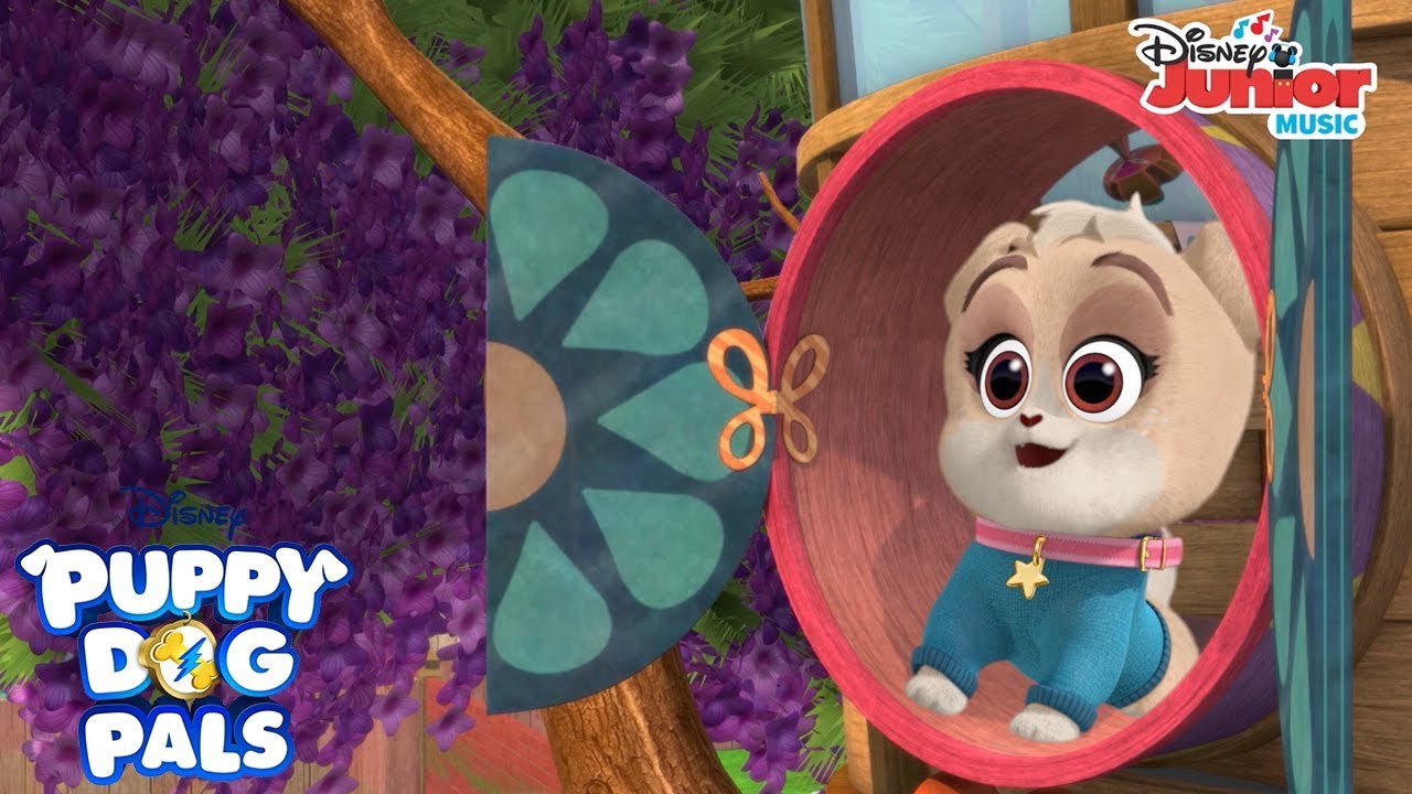 Guess Whose Got a Brand New Dog House 🏠 | Music Video | Puppy Dog Pals | Disney Junior