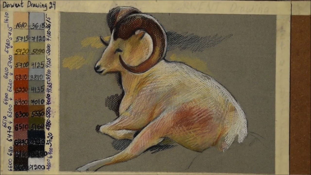 DERWENT Drawing Color Pencils How To Draw A White Animal