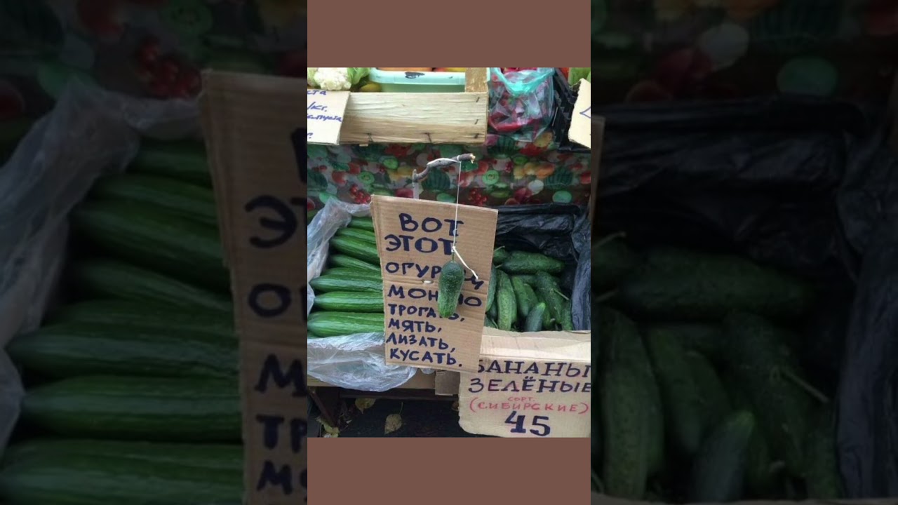 Огурец: версия &ldquo;можно всё&rdquo; #огуречныйшок#тестдрайвовоща#потрогайнемой