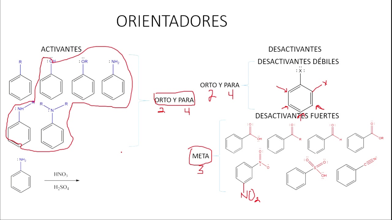 Benceno | Efecto de los sustituyentes | Orientación