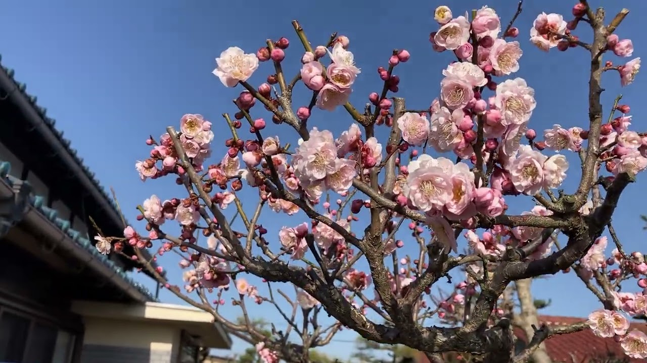 2026年3月1日