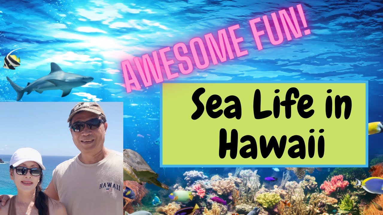 Sea Life Park Hawaii