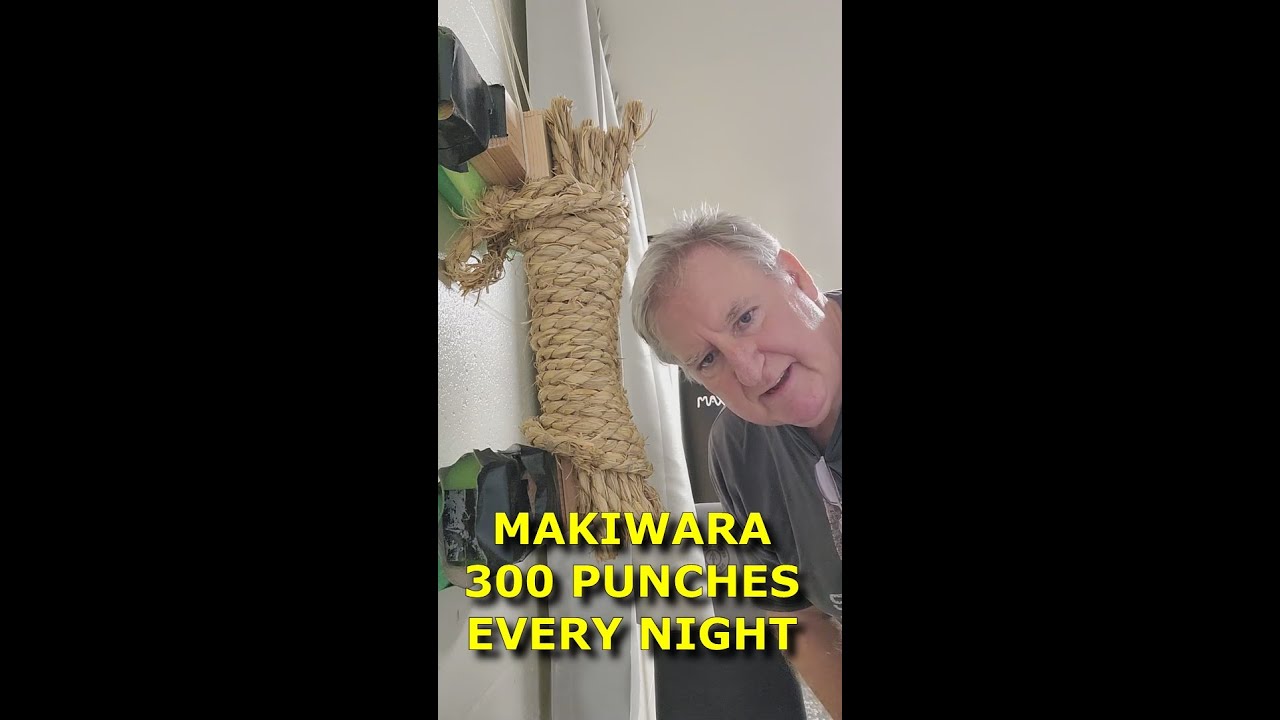 Makiwara Training 300 Punches Every Day