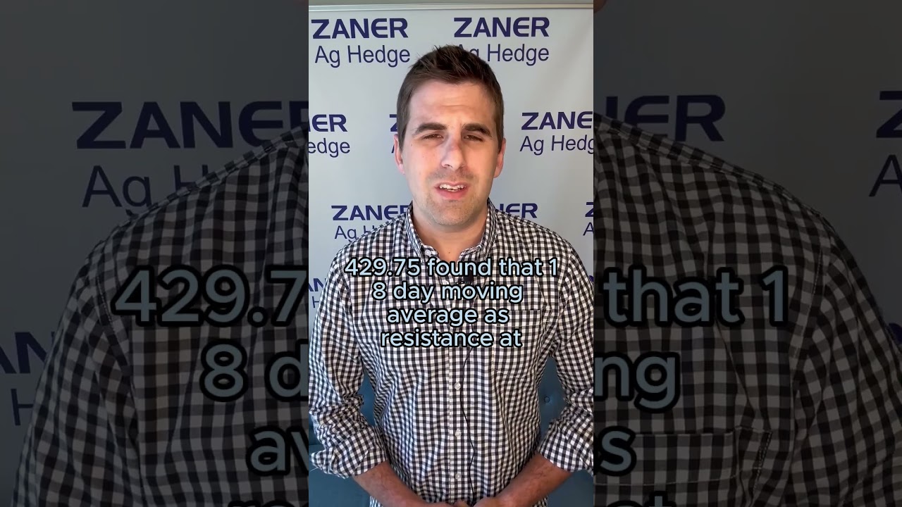 Update on Corn Prices (ZANER NEWS)