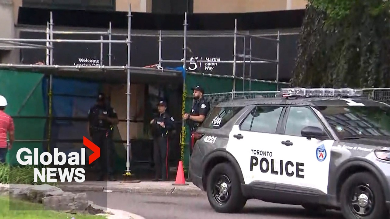 Toronto police officer killed during 