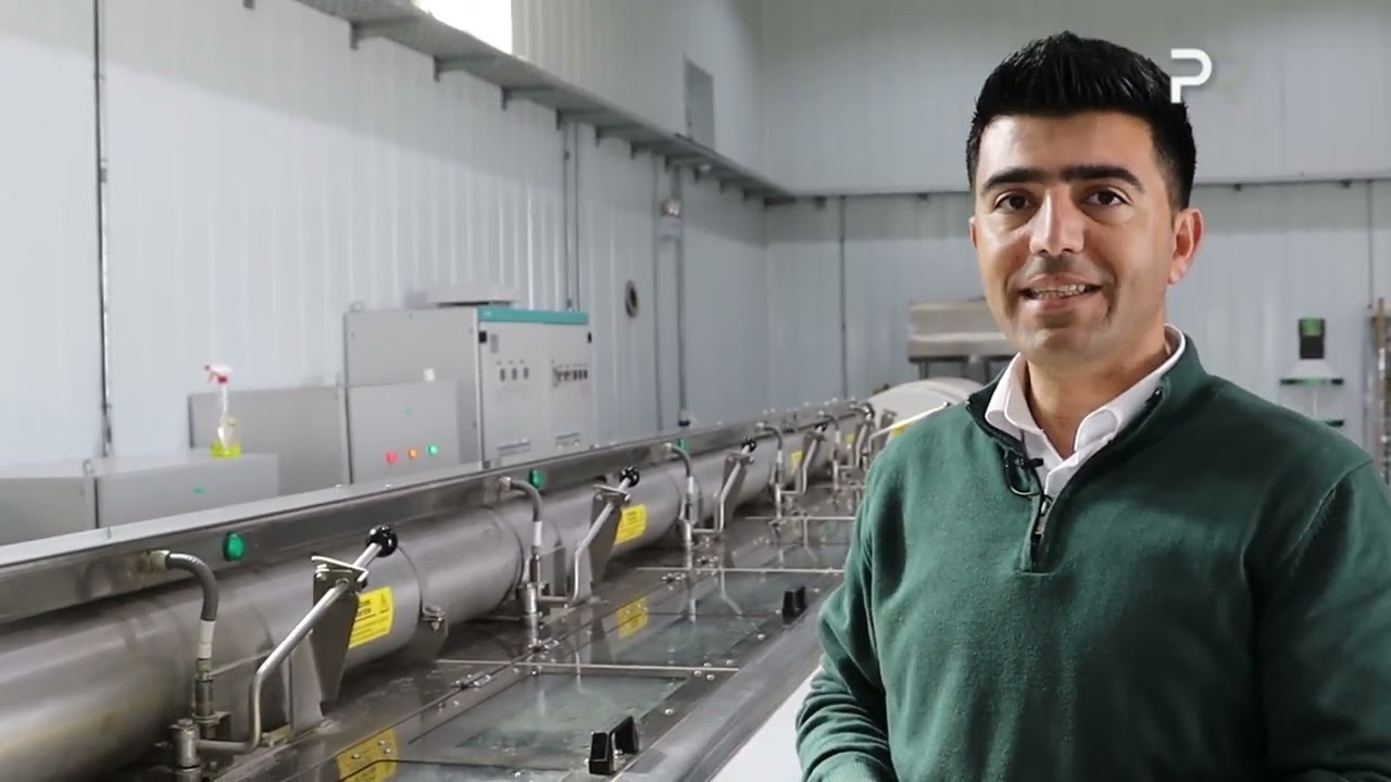 فیچەر _کارگەی ڕۆنی زەیتوونی ڕاسان..#halabjah_rasan