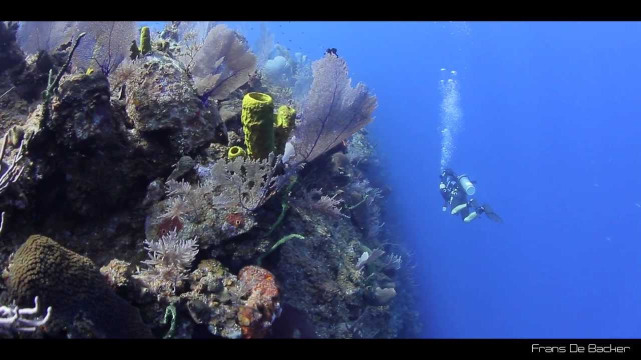 Scuba Diving | Bloody Bay Wall, Little Cayman, Cayman Islands, Caribbean | Caribbean