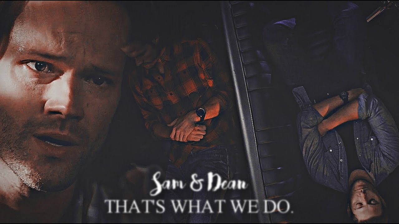 sam & dean || that's what we do.