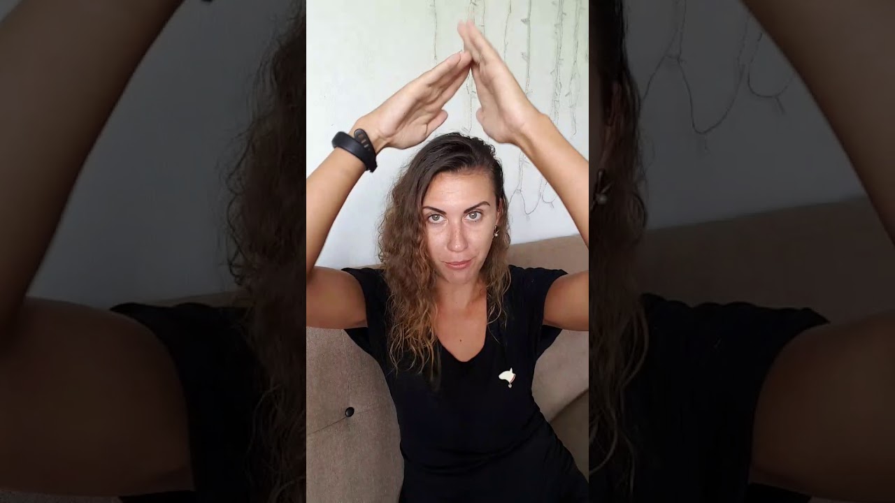 Плохой аппетит у собаки. Самая частая причина.