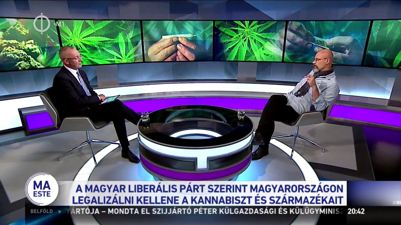 Zacher Gábor véleménye a marihuána legalizálásáról