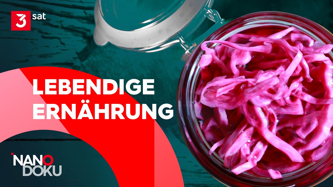 Fermentieren für ein starkes Immunsystem | NANO Doku