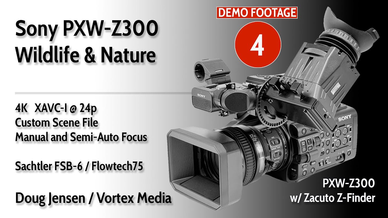 Sony PXW-Z300 Demo Footage #4:  Wildlife & Nature
