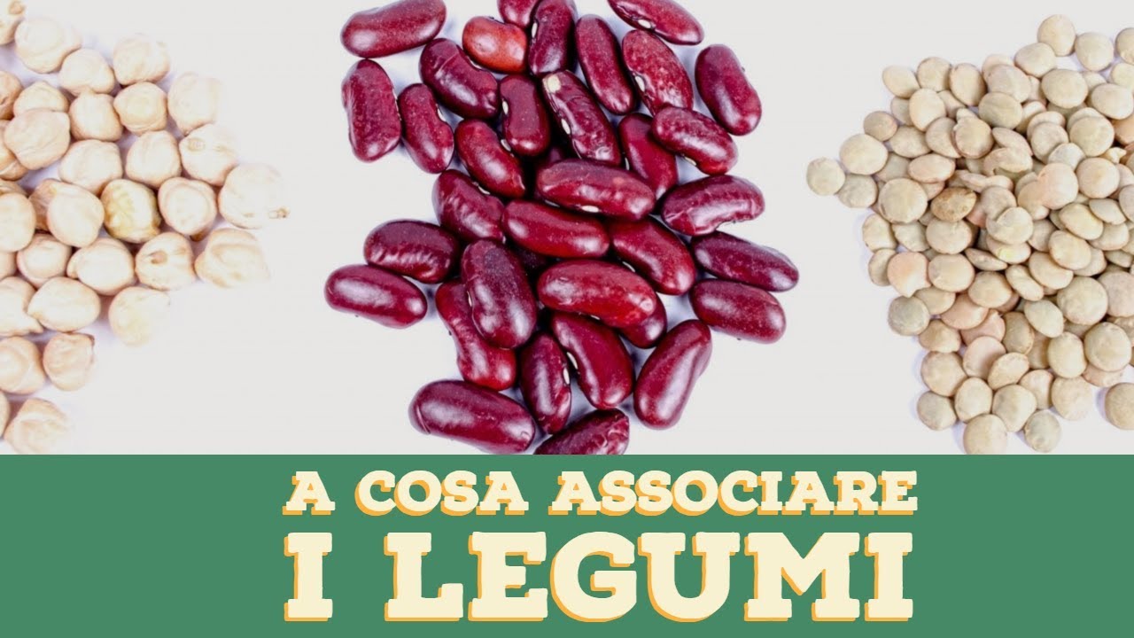 I LEGUMI A Cosa vanno ASSOCIATI? - Le Pillole del Doc Ep.7