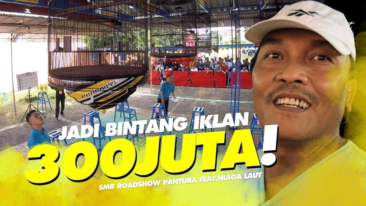 BINTANG IKLAN 300 JUTA‼️Murai Batu Juara SMR ROAD TO PANTURA feat. Niaga Laut #pekalongan