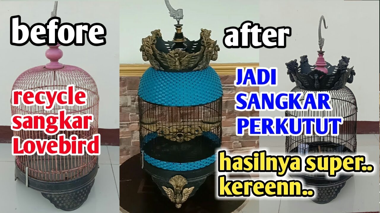 Mengubah sangkar Lovebird jadi sangkar perkutut hasilnya bikin melongo..