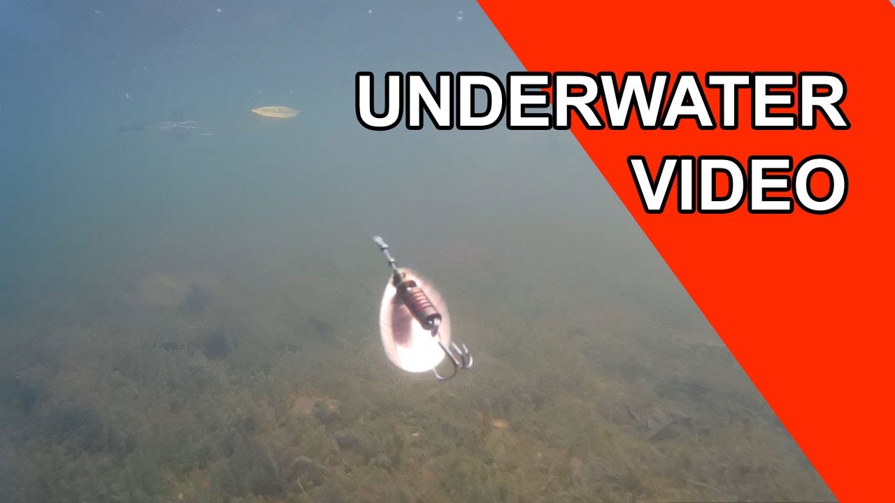FISHING | Underwater Video MEPPS AGLIA Inline Spinner