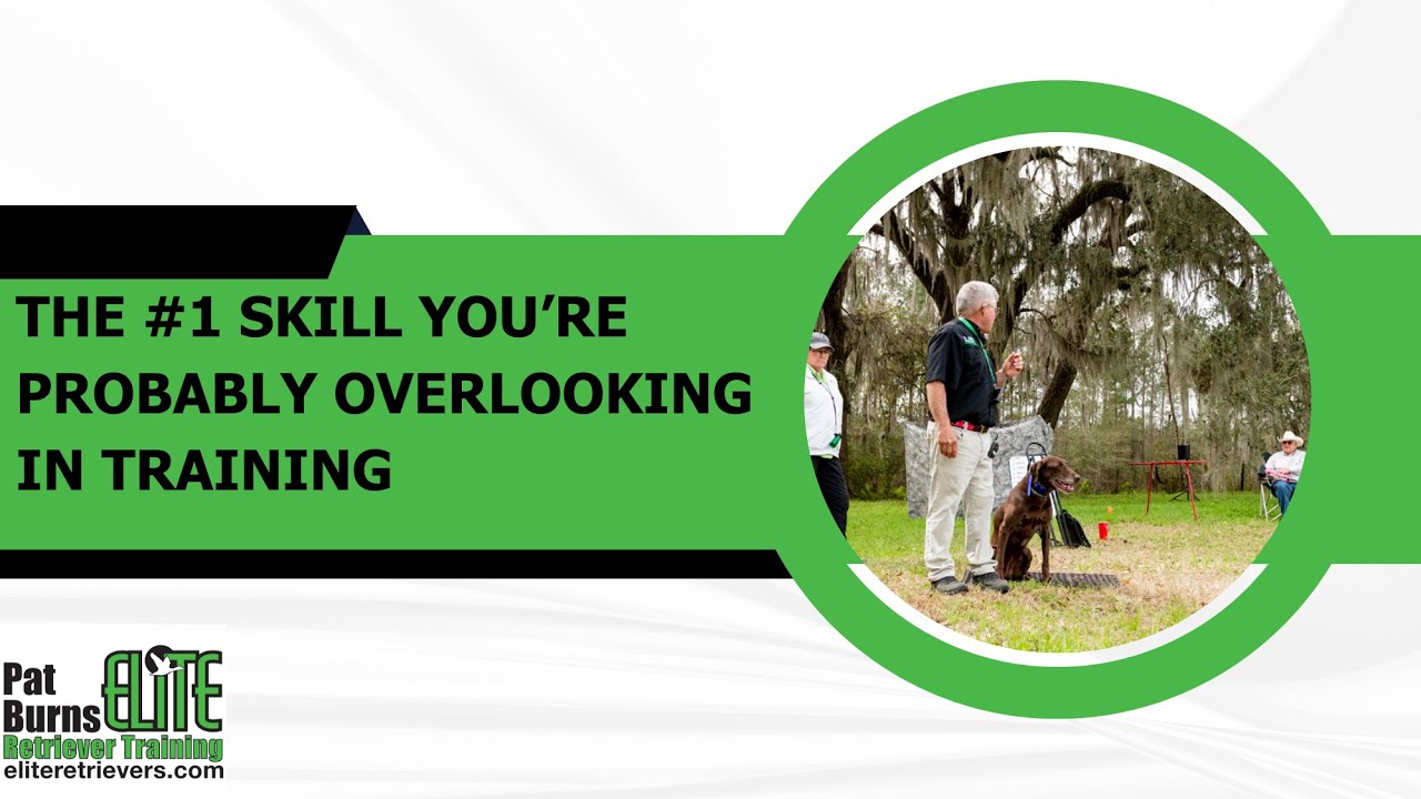 The #1 Skill You&rsquo;re Probably Overlooking in Training