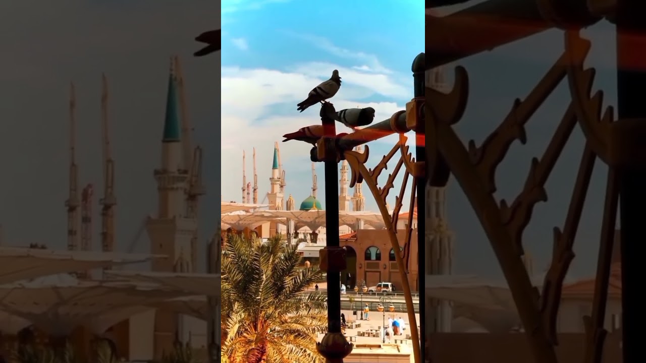 Madina new video #Beautiful #Madina Stock Footages | #Free #hdvideo  Video - #nocopyright