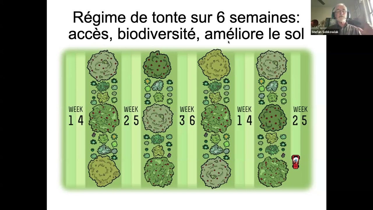 L'ENTRETIEN de Vos ARBRES FRUITIERS, Vos ALLIÉS de la nature et la TAILLE (3 de 3)