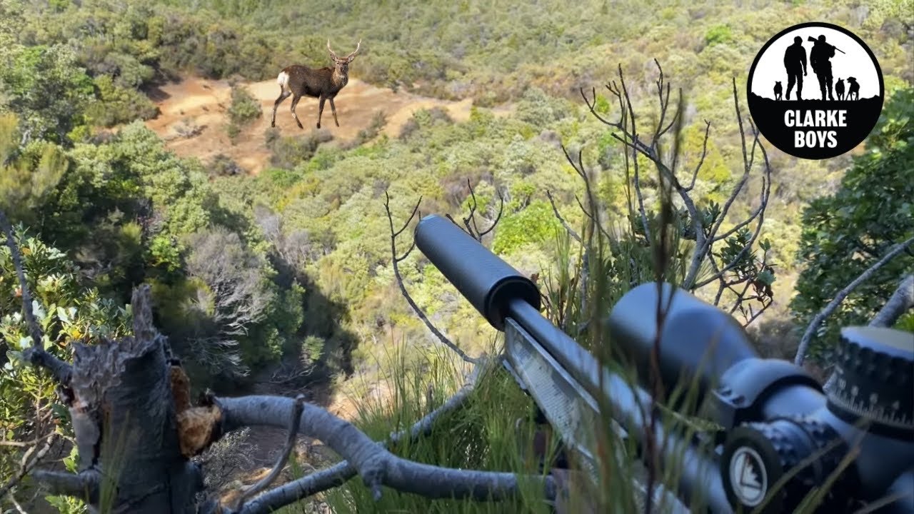 Hunting Scrub Sika in the Roar/Rut with Utemaster TrailCore! New Zealand