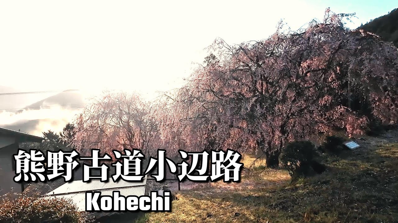 【ロングトレイル】熊野古道小辺路3Days
