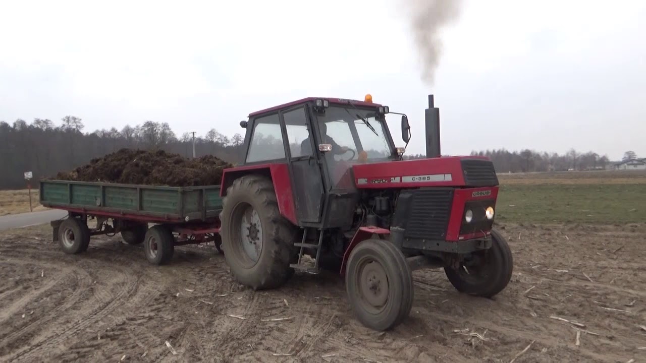 Rozpoczęcie sezonu 2018 obornik na pryzmę Ursus C 385