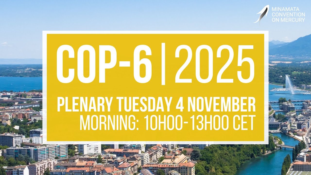 #MinamataCOP6: Morning Plenary (4 November 2025)