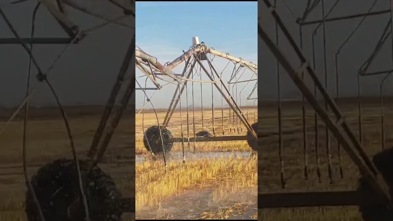 Irrigation Pivot Collapse