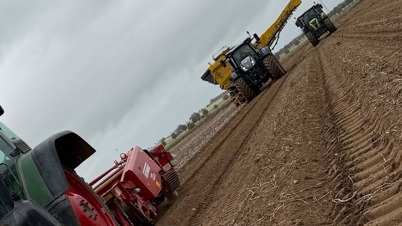 Rodetechnik!! Bunkerroder!!💪🏻🥔🛠️ #kartoffeln #ernte2025 #ropa #grimme 