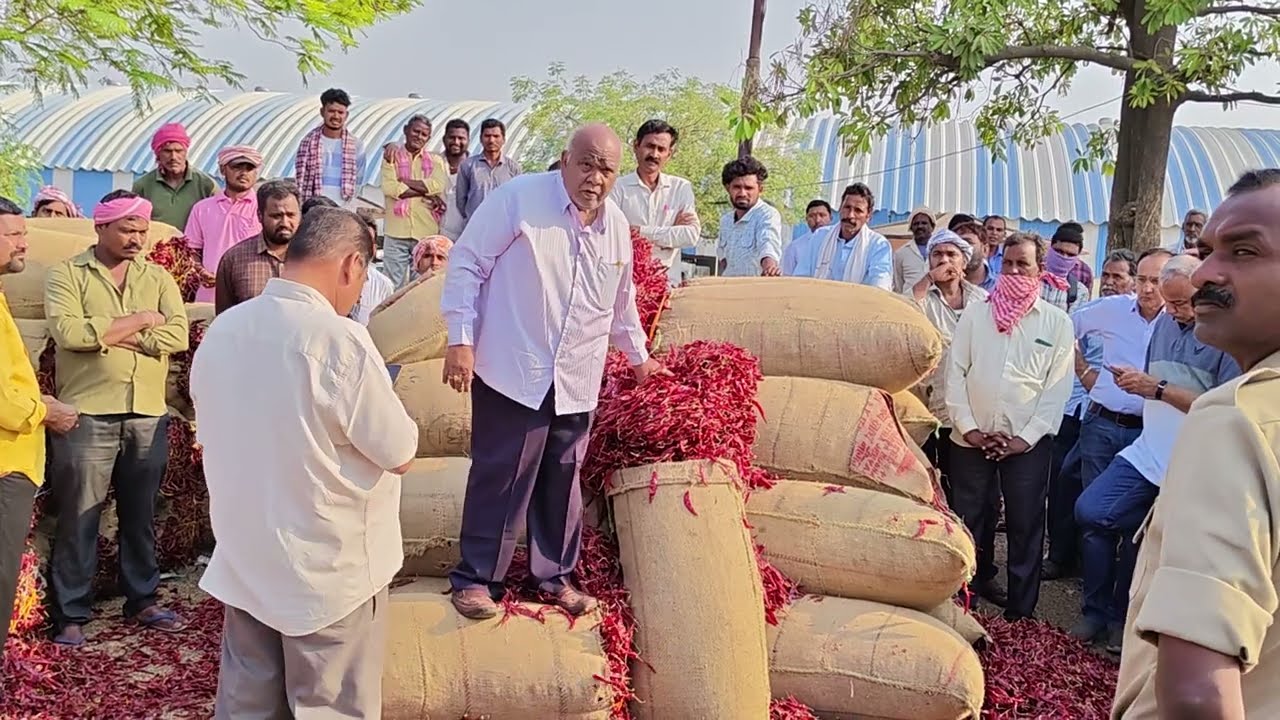 13/03/25  jandapata @ warengal market