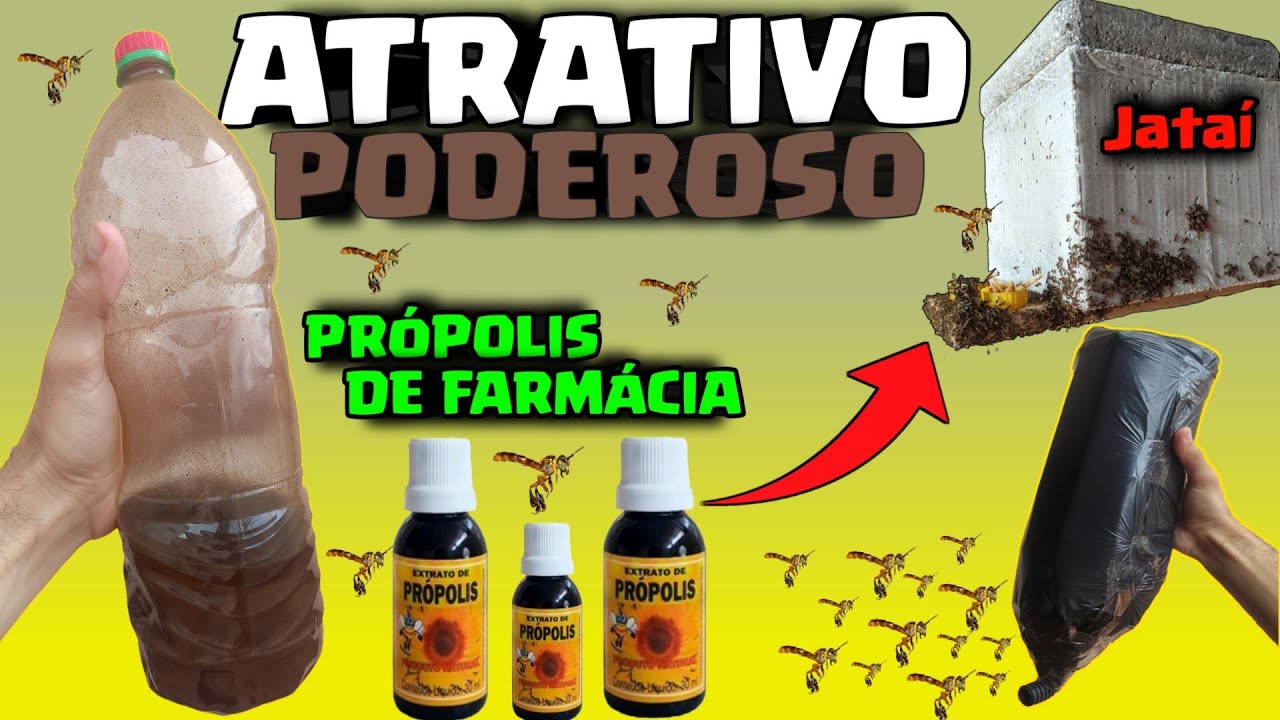 COMO FAZER ATRATIVO para CAPTURAR abelha JATAI captura rápido