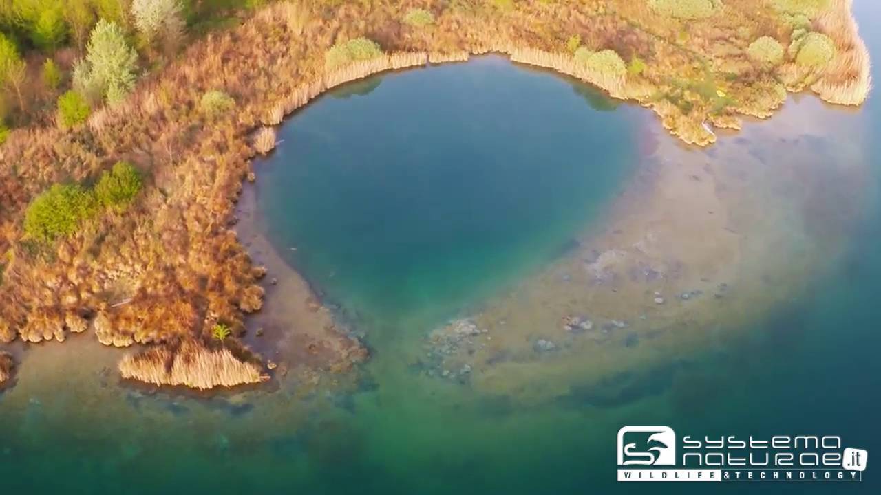 Volando sulla Maremma (Lago dell'Accesa - GR) - Flying over Maremma (Accesa Lake) #11