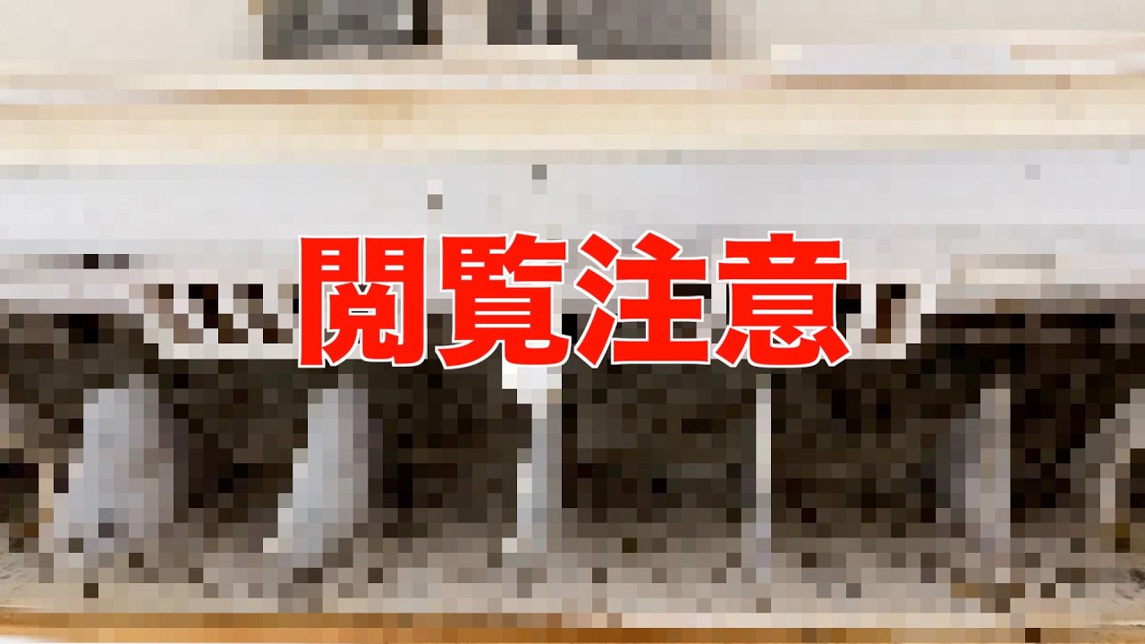 ココロマン家のエアコン内部がエグすぎたので洗浄しました！！【ココロマン普段の様子】