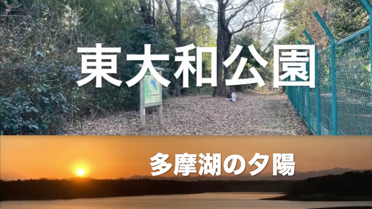 260116 東大和公園 と 多摩湖の夕陽