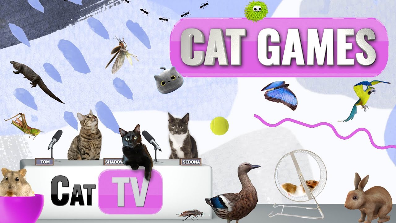 КОТ-игры | Лучшая подборка Cat TV, том 22 | 2 ЧАСА 🐝🐞🦋🦎🦜🐜🐭🧵