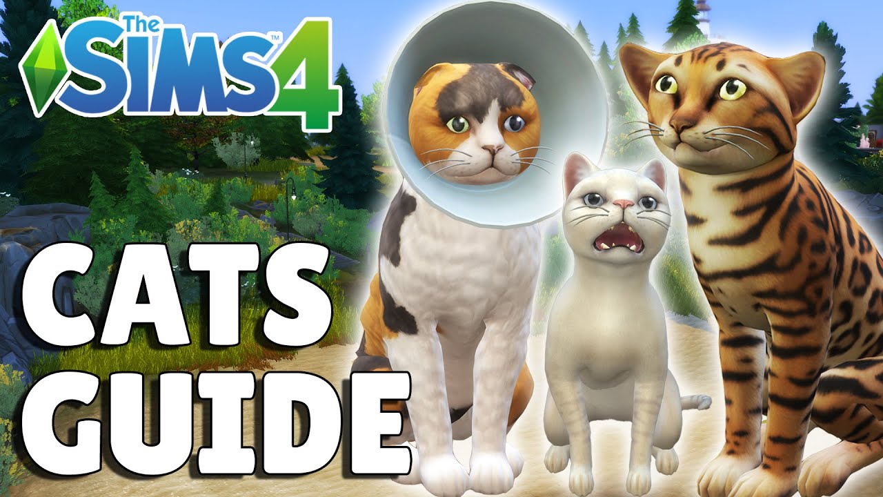Все, что вам нужно знать о кошках в The Sims 4