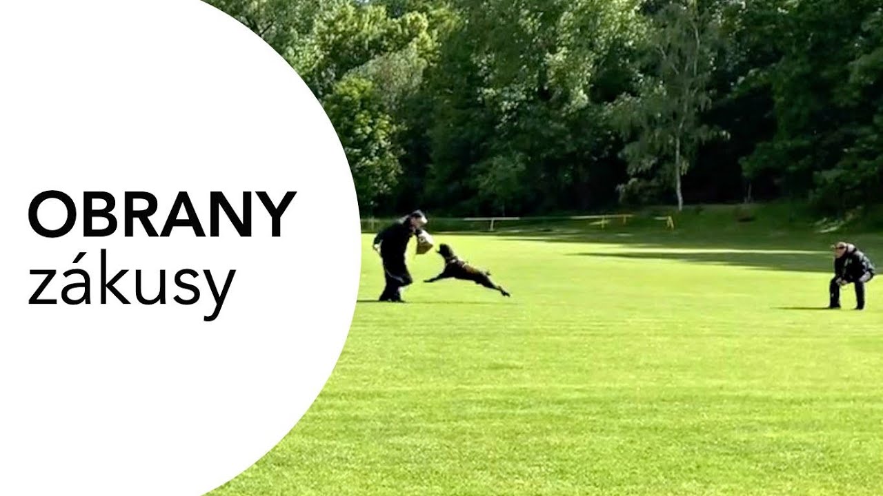 #63 Obrany: 2. natočený trénink (2. kolo) - ZÁKUSY - ukázka