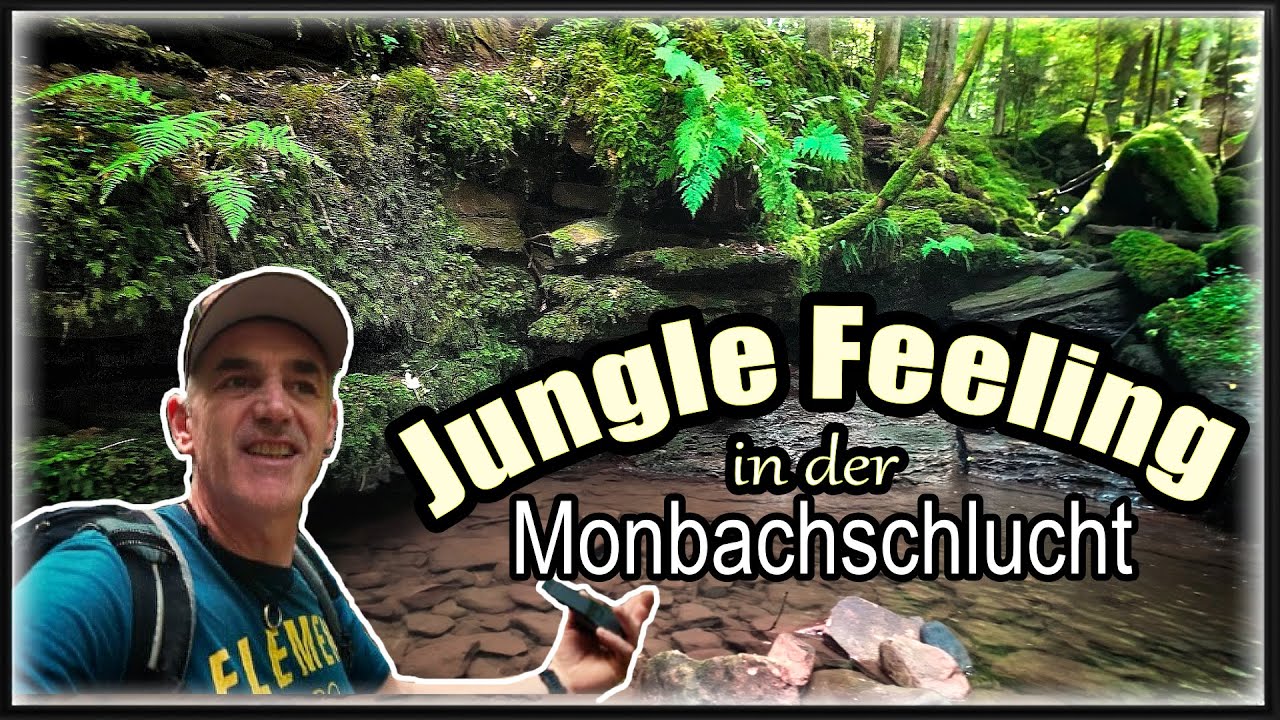 Monbachtal Schlucht