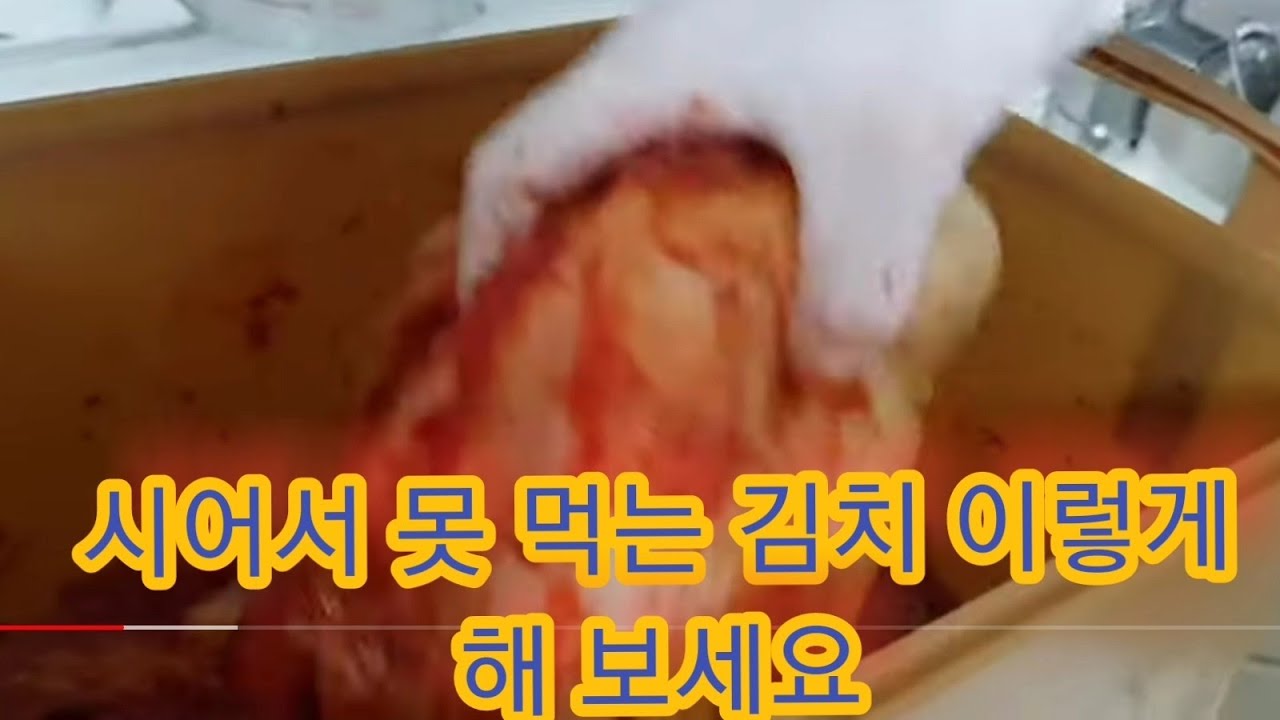 온 동네 소문난 김치찜 (신배추김치) 이렇게 한번 해보세요 (젓가락을 멈출 수가 없어요)
