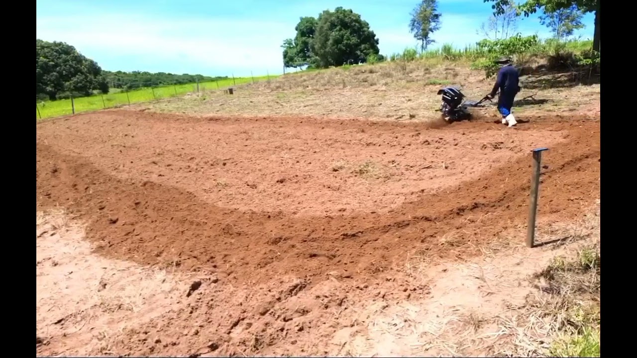 #Preparando a terra com o motocultivador toyama diesel 11hp TDT135 pra plantar milho de pamonha.