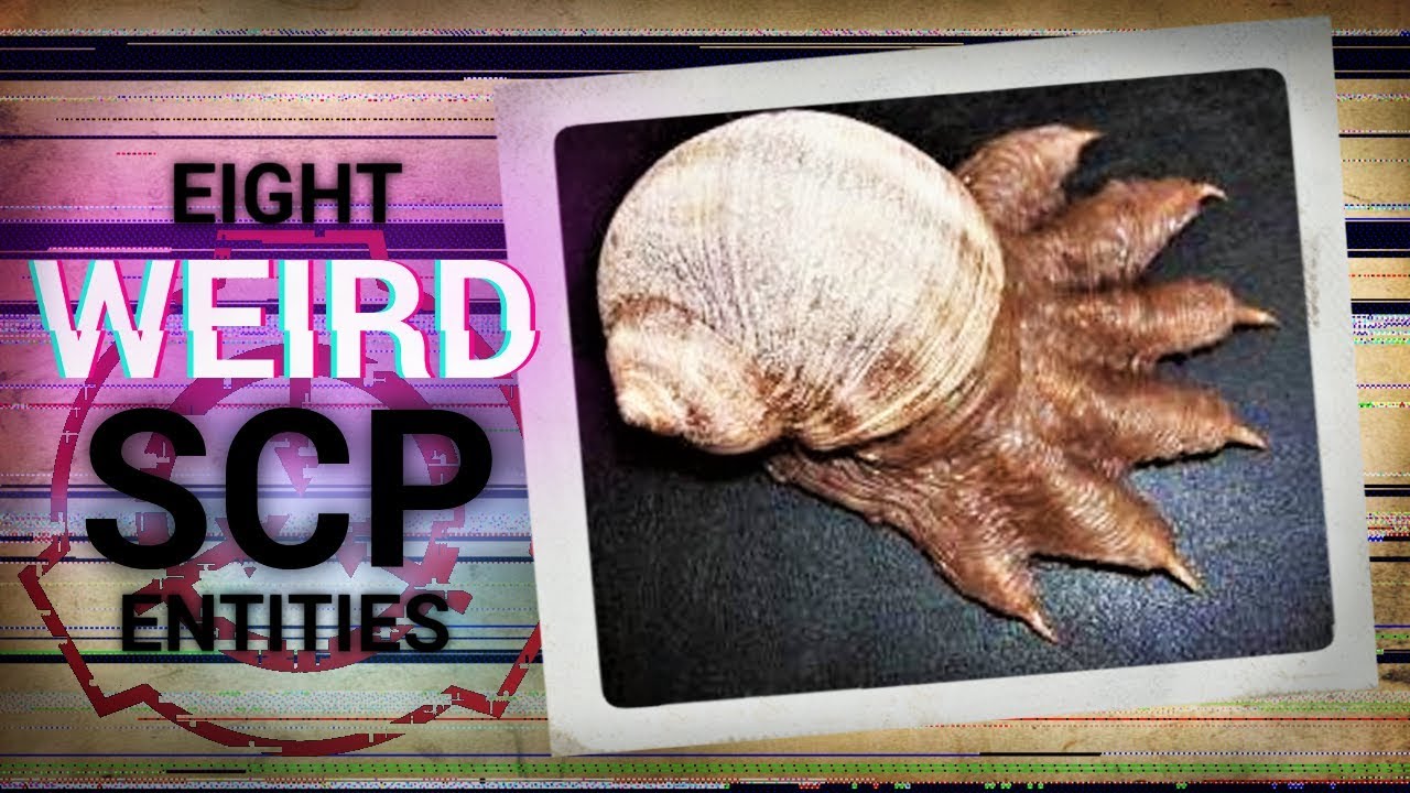 САМЫЕ СТРАННЫЕ SCP-сущности всех времен (Лучшие SCP)