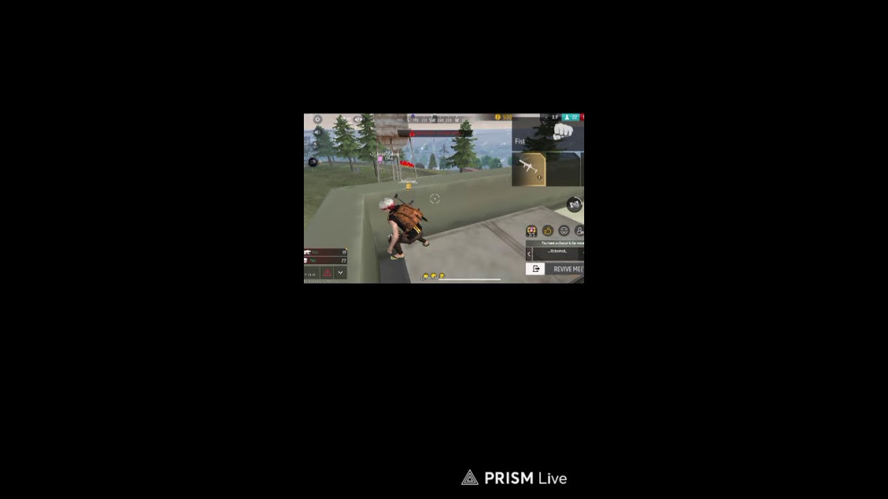 Live streaming of sb brother