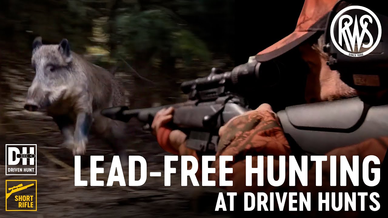 RWS DRIVEN HUNT in SHORT RIFLE &ndash; Lead-free deformation bullet for driven hunt